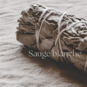 Bâtonnet de Sauge Blanche