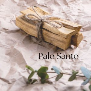 Palo Santo - Lot de 3 bâtonnets
